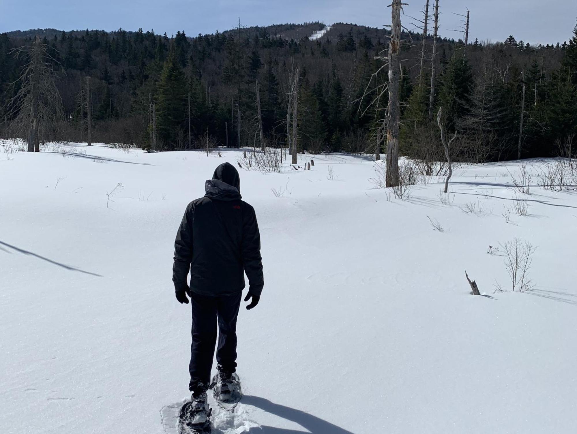 Bmv8 Tiny Home Village Near Bretton Woods Twin Mountain エクステリア 写真